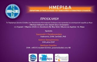 εικόνα άρθρου