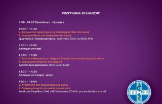 εικόνα άρθρου