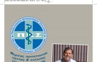 εικόνα άρθρου