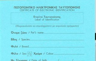 εικόνα άρθρου