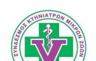 εικόνα άρθρου