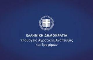 εικόνα άρθρου