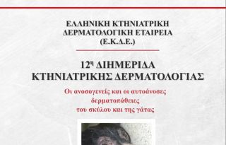 εικόνα άρθρου