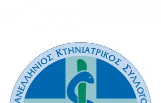 εικόνα άρθρου