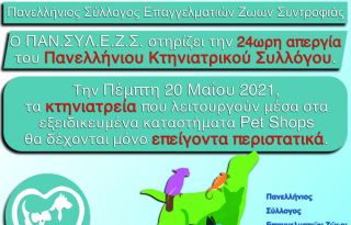 εικόνα άρθρου