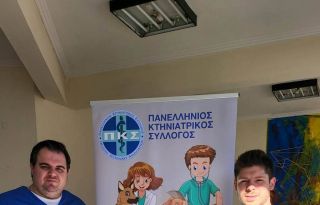 εικόνα άρθρου