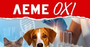 εικόνα άρθρου