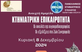 εικόνα άρθρου