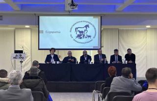 εικόνα άρθρου