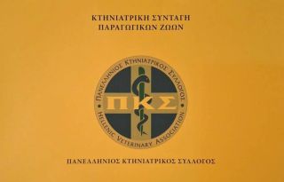 εικόνα άρθρου