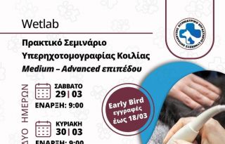 εικόνα άρθρου