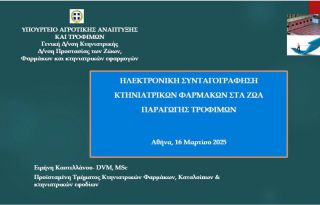 εικόνα άρθρου
