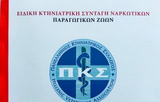 εικόνα άρθρου