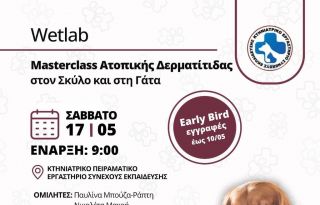 εικόνα άρθρου