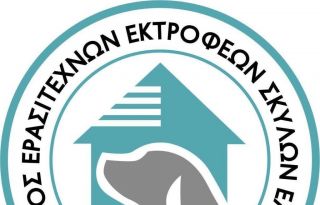 εικόνα άρθρου