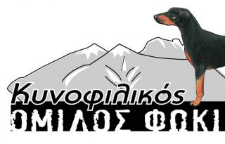 εικόνα άρθρου