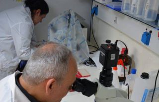 εικόνα άρθρου