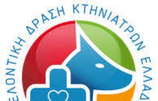 εικόνα άρθρου