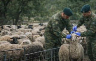 εικόνα άρθρου