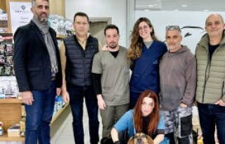 εικόνα άρθρου