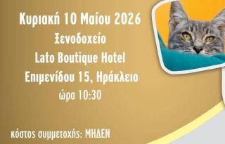 εικόνα άρθρου