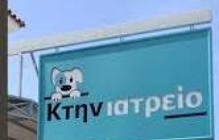 εικόνα άρθρου
