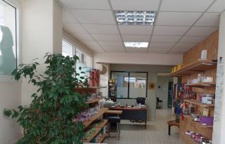εικόνα άρθρου