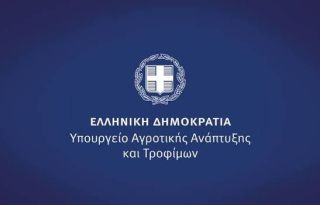 εικόνα άρθρου
