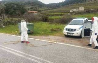 εικόνα άρθρου