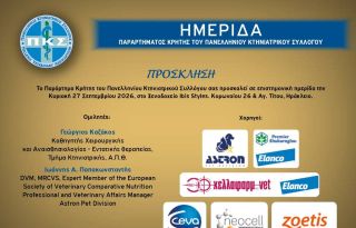 εικόνα άρθρου