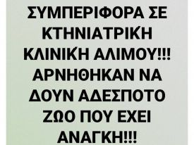 εικόνα άρθρου