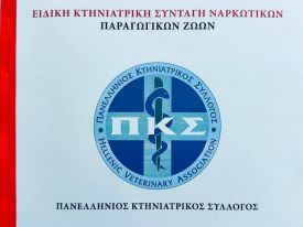 εικόνα άρθρου