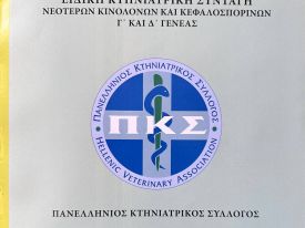 εικόνα άρθρου
