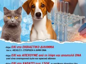 εικόνα άρθρου