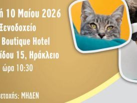 εικόνα άρθρου