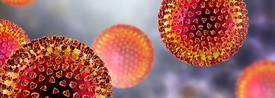 coronavirus_h3