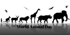 World-Animal-Day