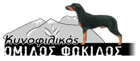 φοκ
