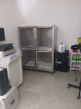 εκ1